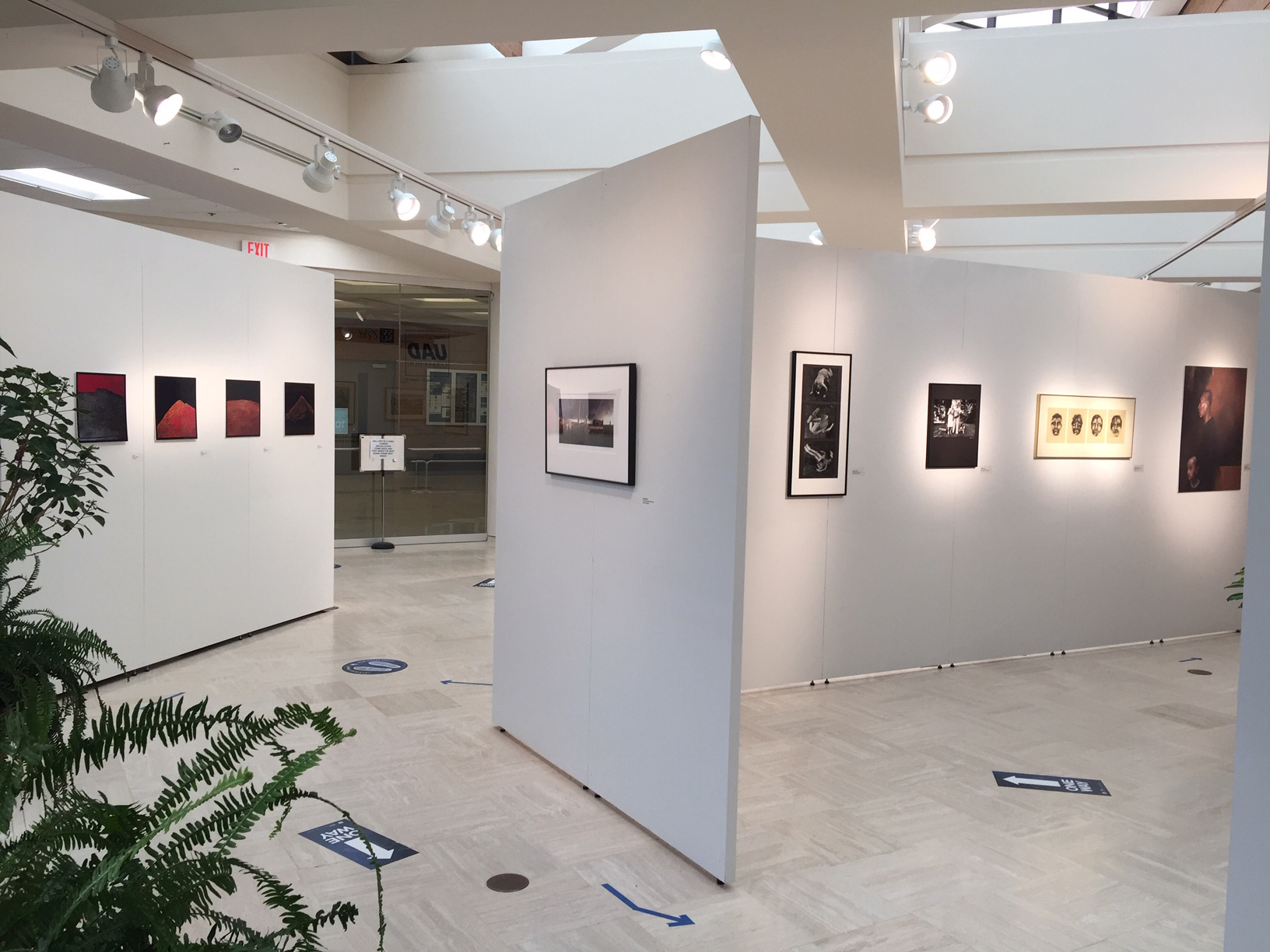 Looking in from the outside windows (L-R) Wei, Most, Zeiss, Eng, Sullivan, Hong